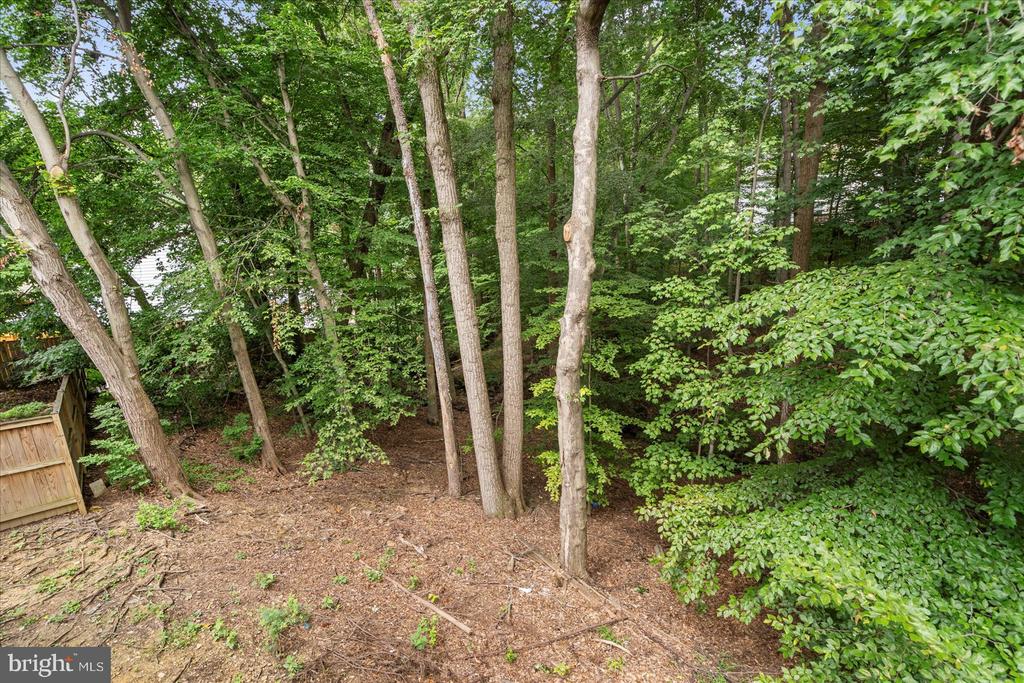 14828 SILVER ASH COURT
