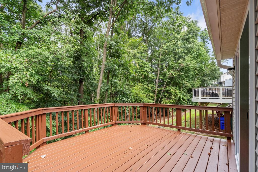 14828 SILVER ASH COURT