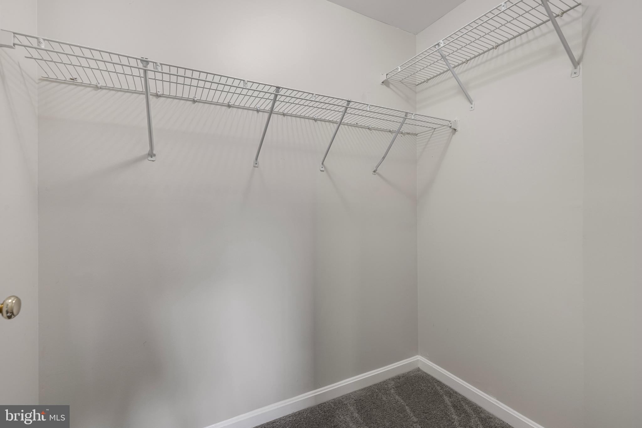 11804 ETON MANOR DRIVE 203