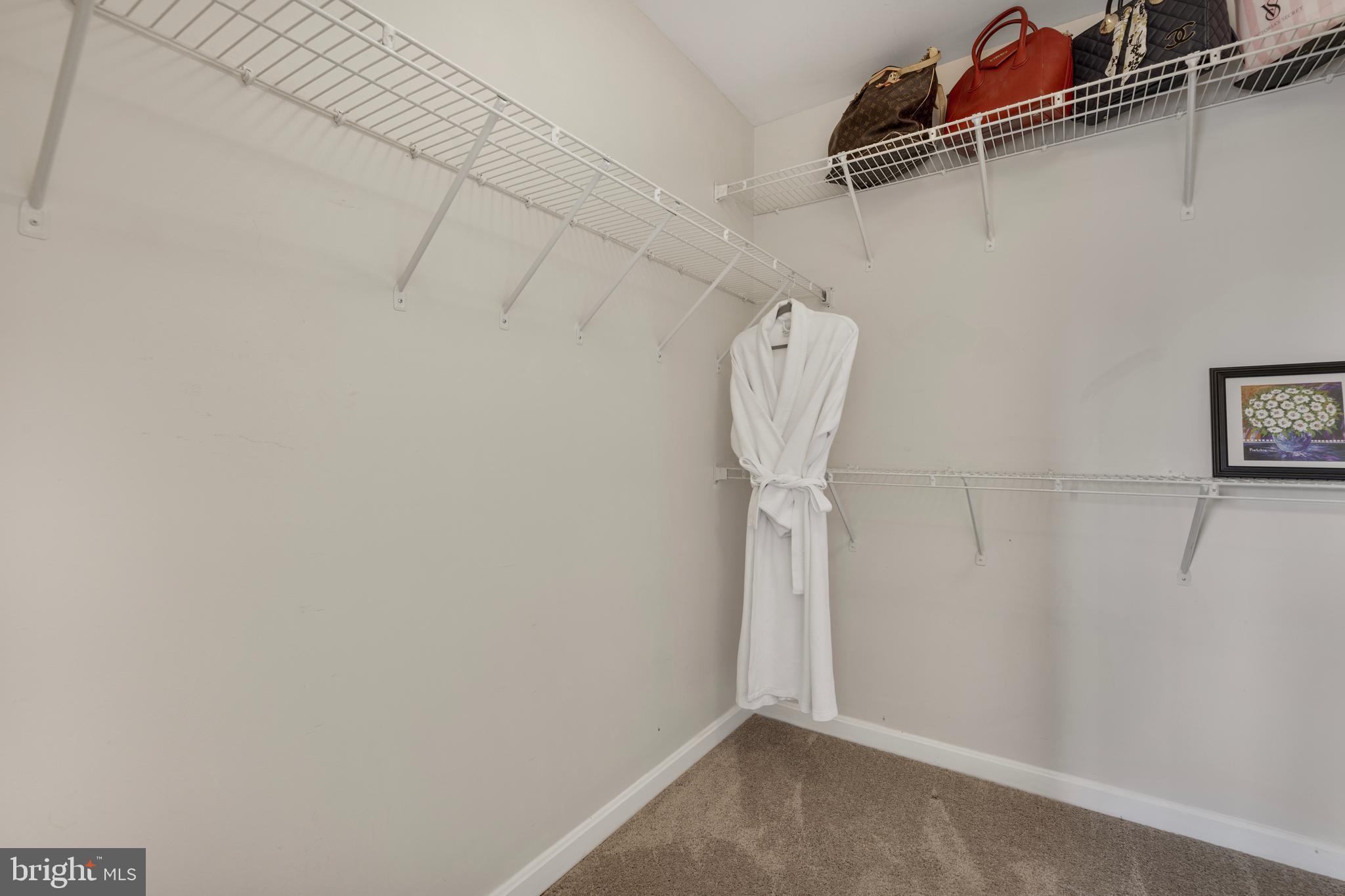 11804 ETON MANOR DRIVE 203