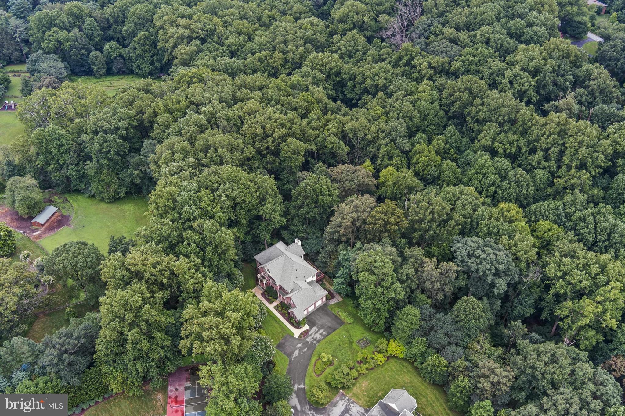 15 WARRENTON DRIVE