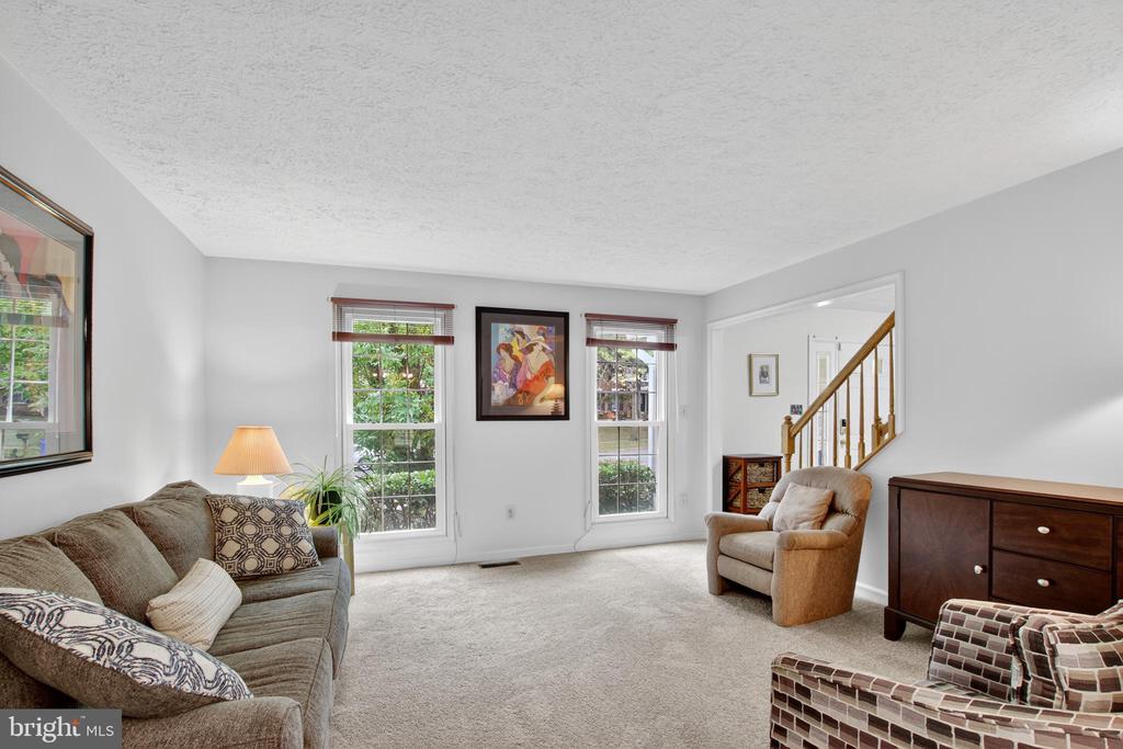 20929 SCOTTSBURY DRIVE