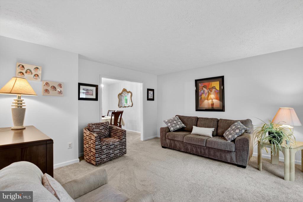 20929 SCOTTSBURY DRIVE