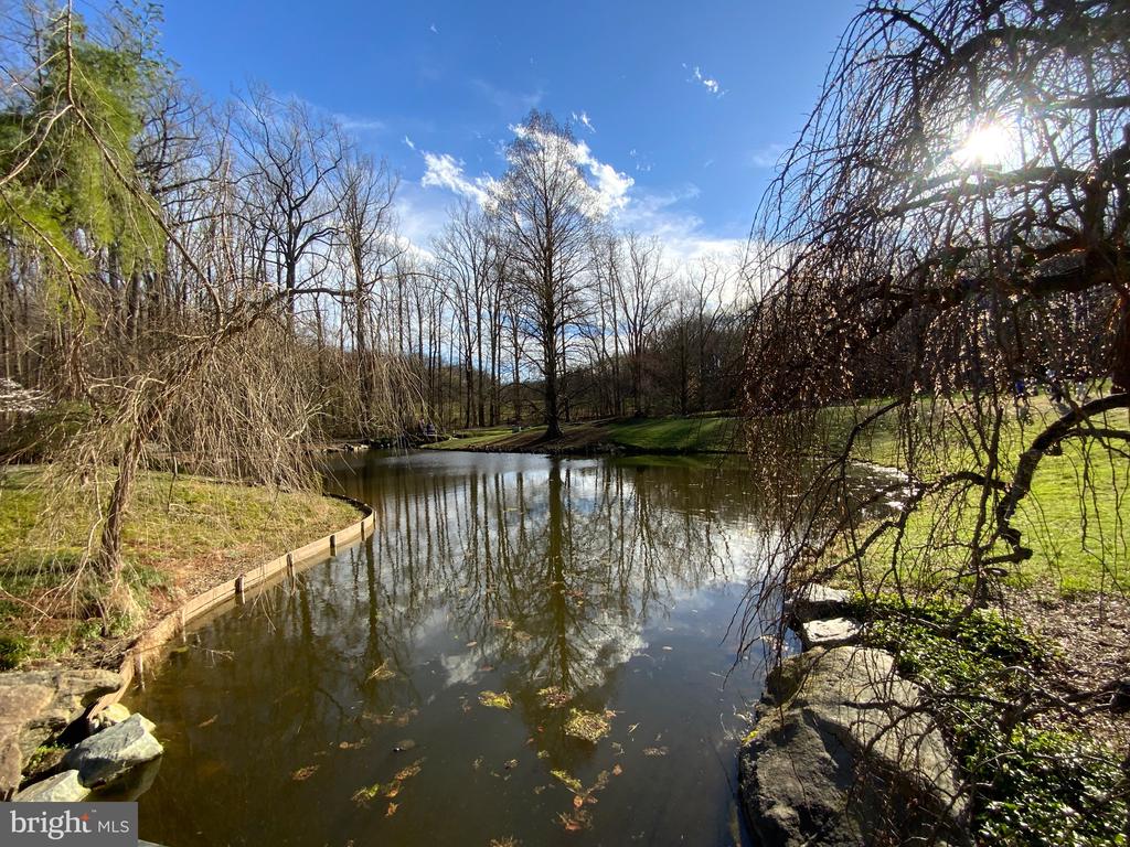 2302 GREENERY LANE 301-16
