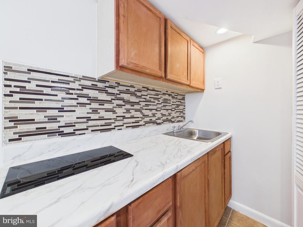 10309 CONOVER DRIVE