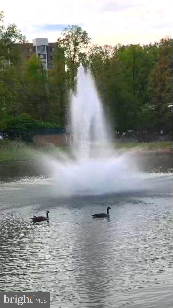 15115 INTERLACHEN 3-621