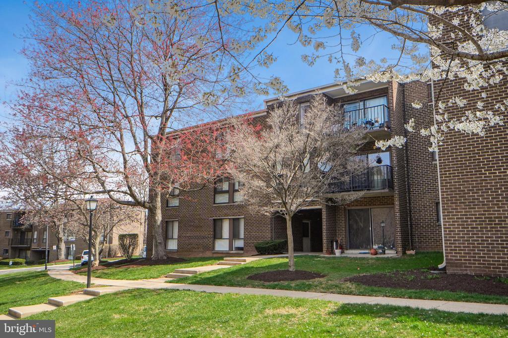 17805 BUEHLER ROAD 3