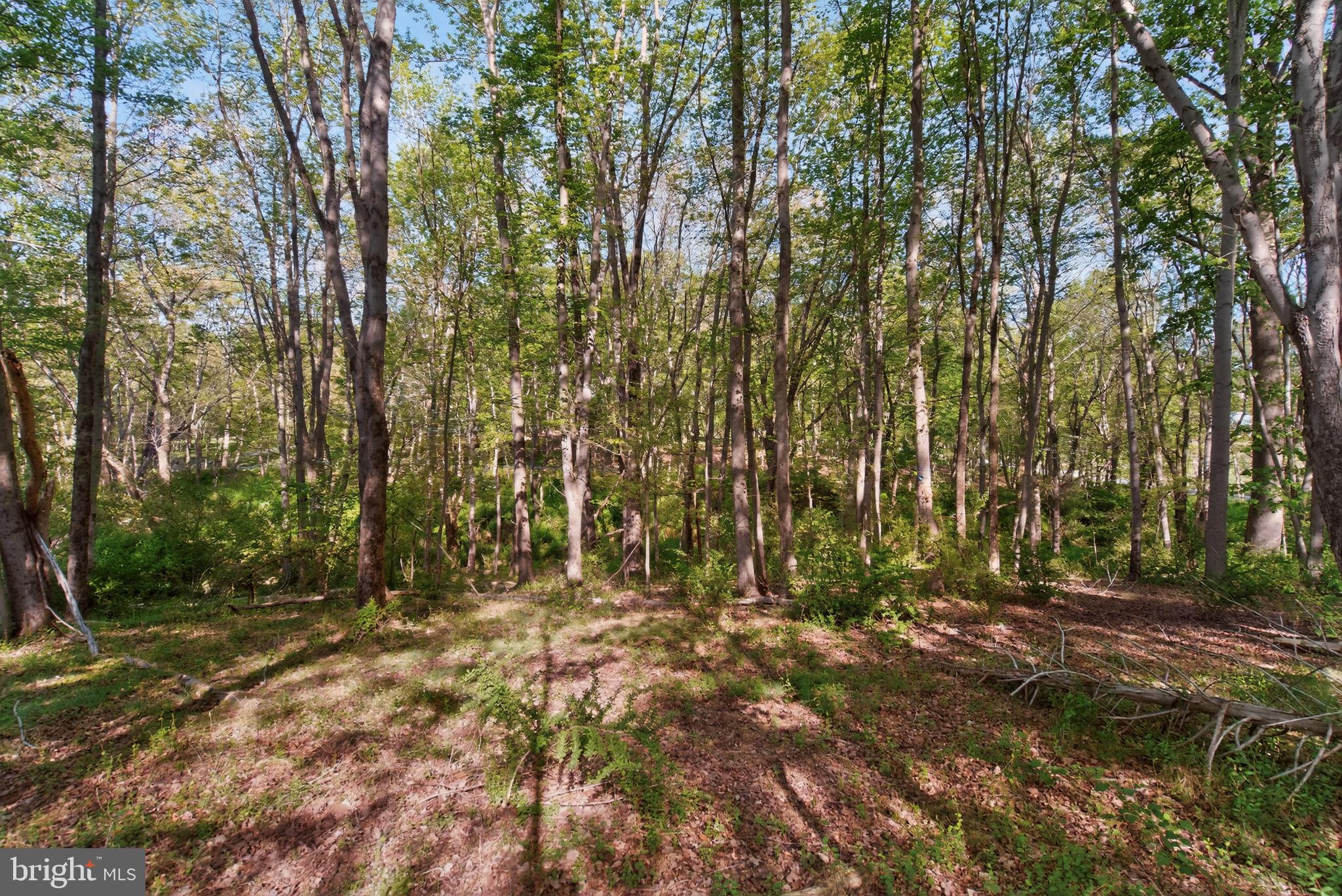 13905 TURKEY RUN COURT