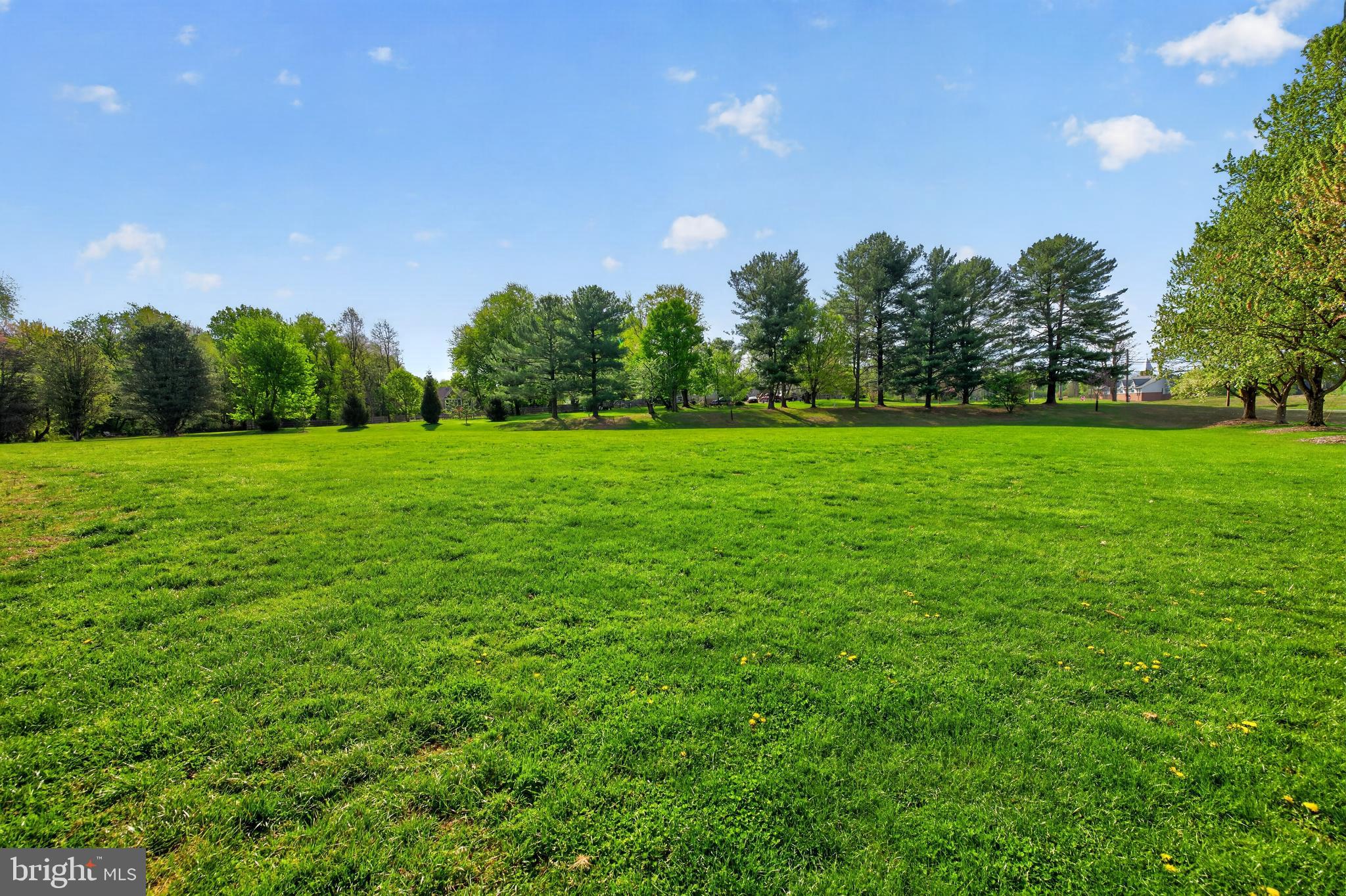 13905 TURKEY RUN COURT