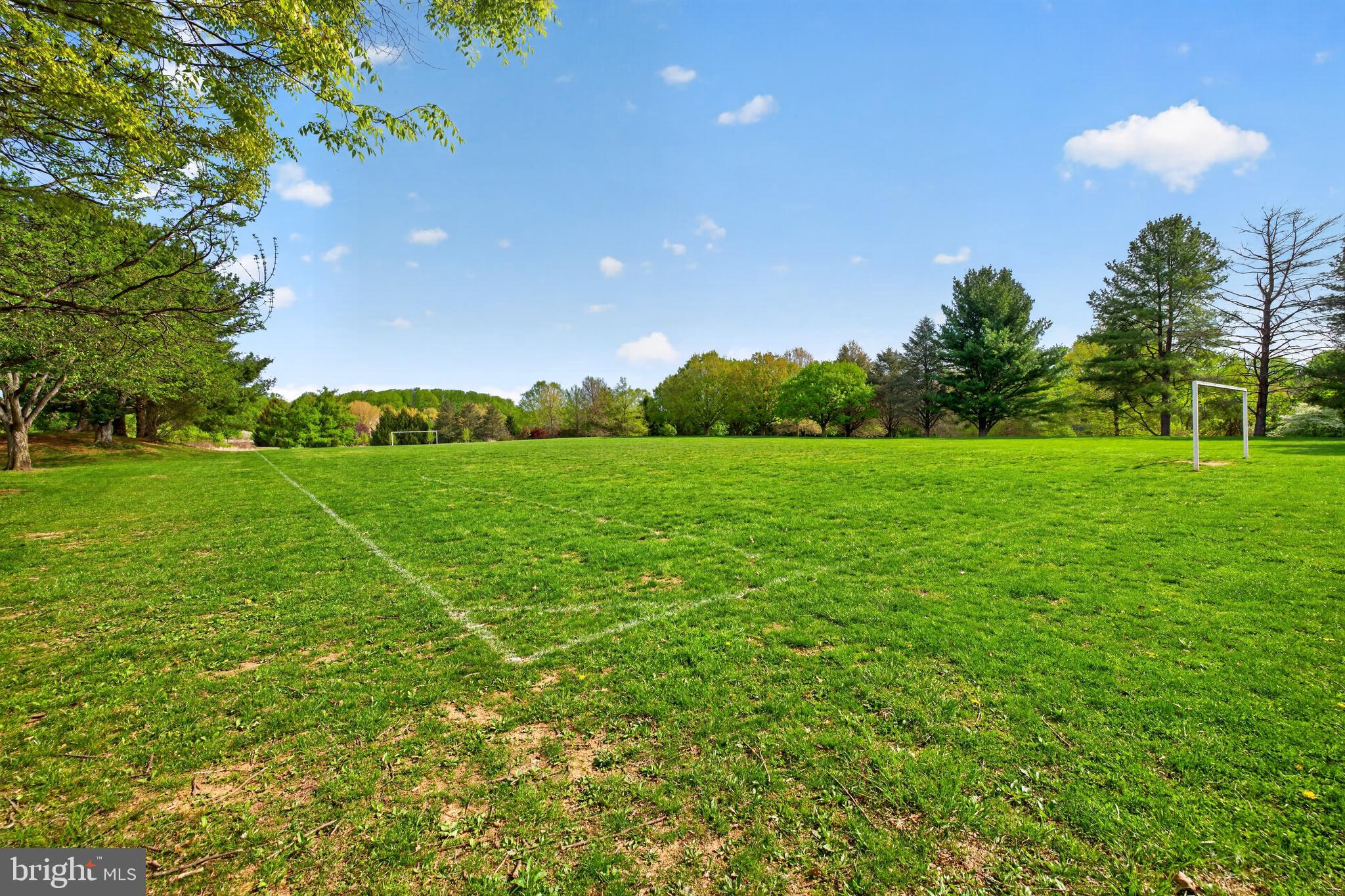 13905 TURKEY RUN COURT