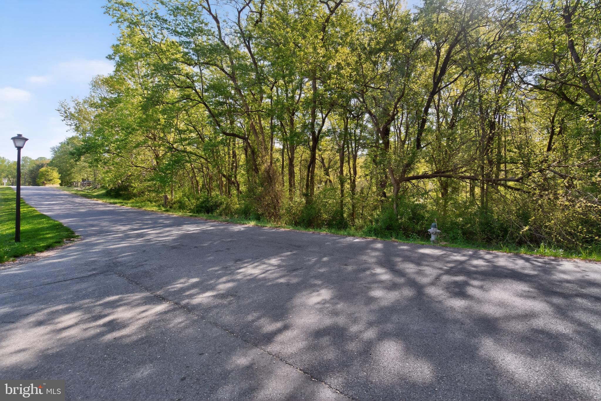 13905 TURKEY RUN COURT