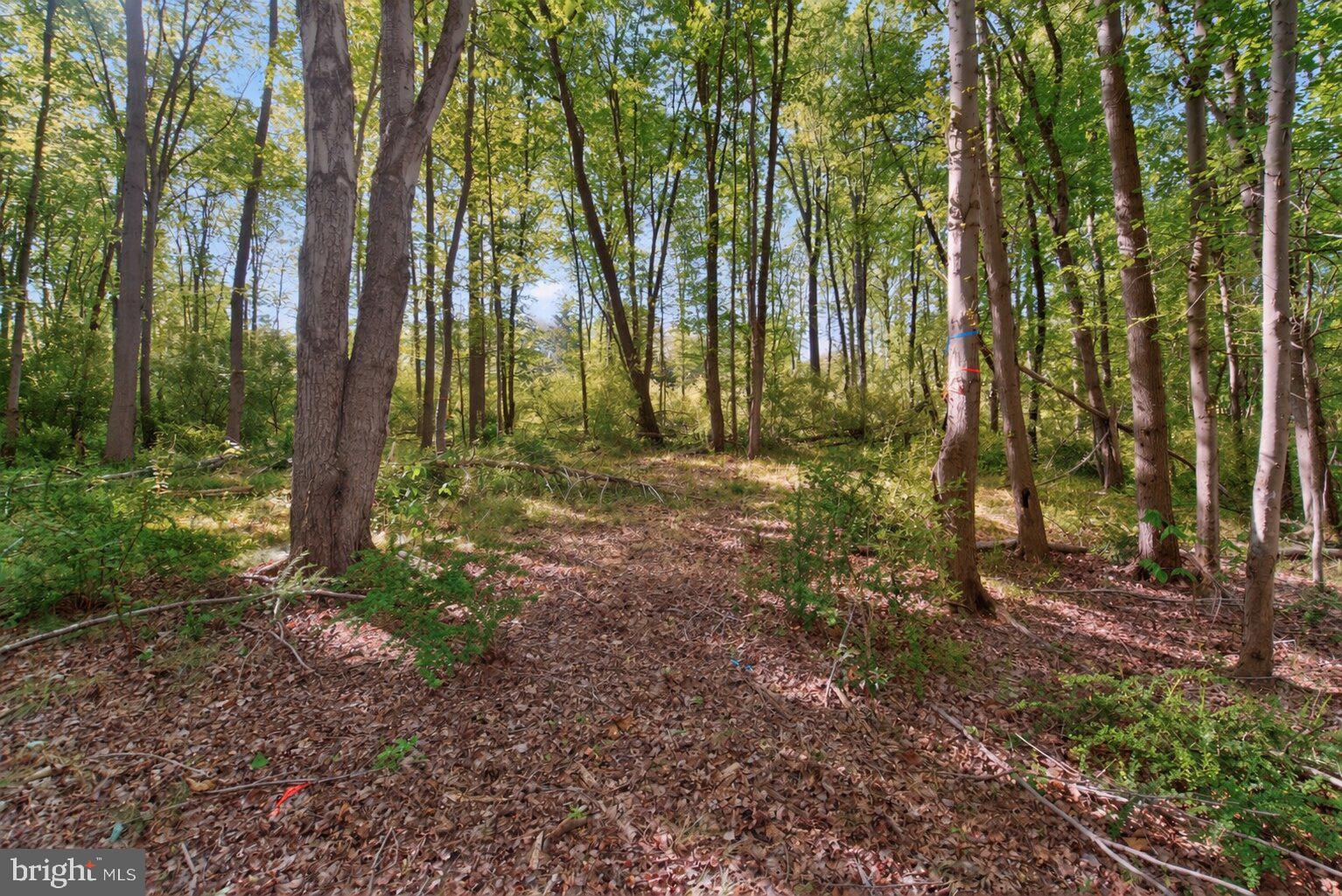 13905 TURKEY RUN COURT