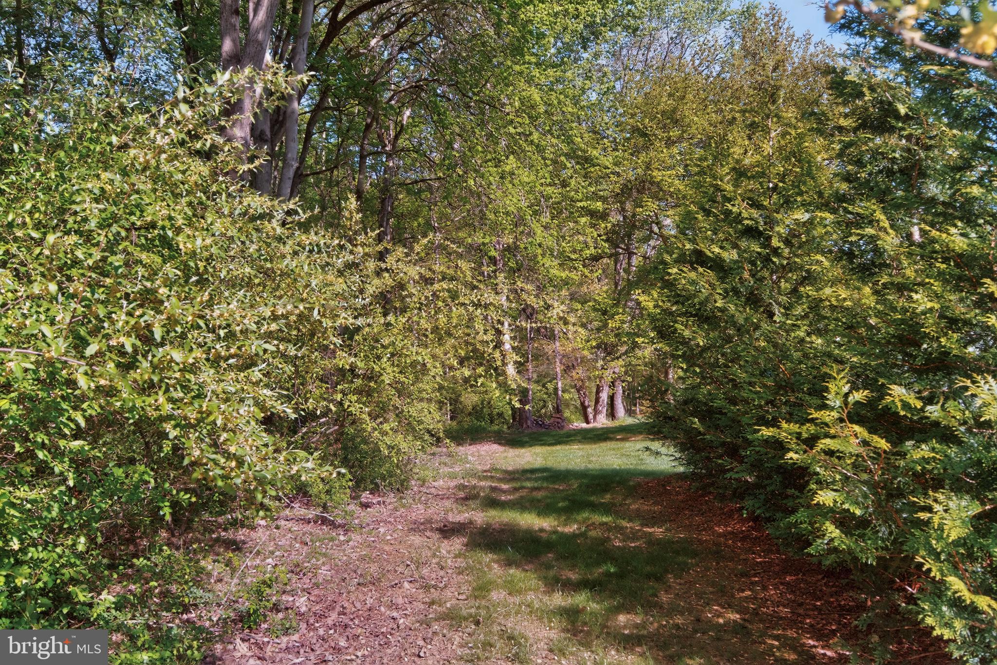 13905 TURKEY RUN COURT