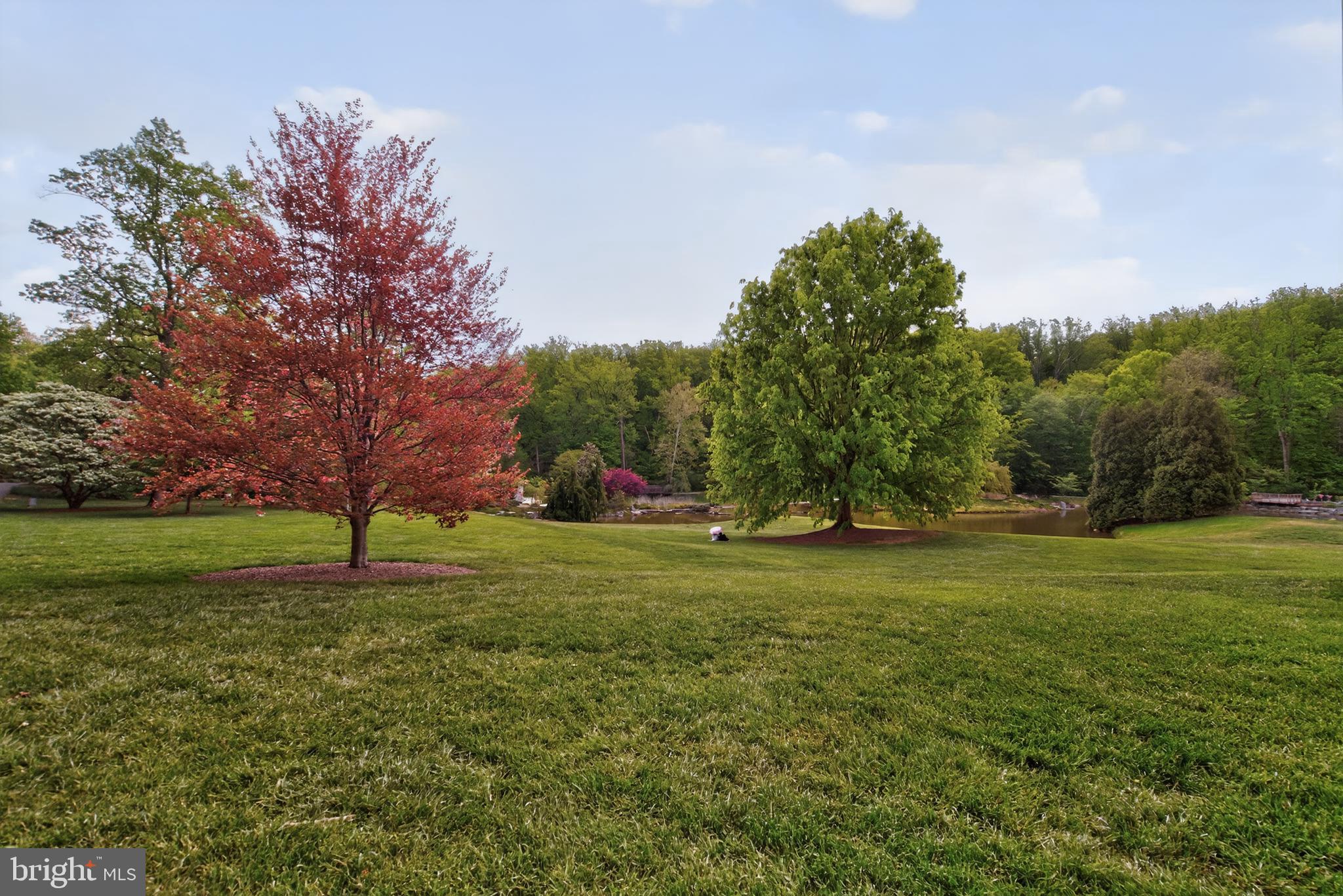 713 BRANDON GREEN DRIVE