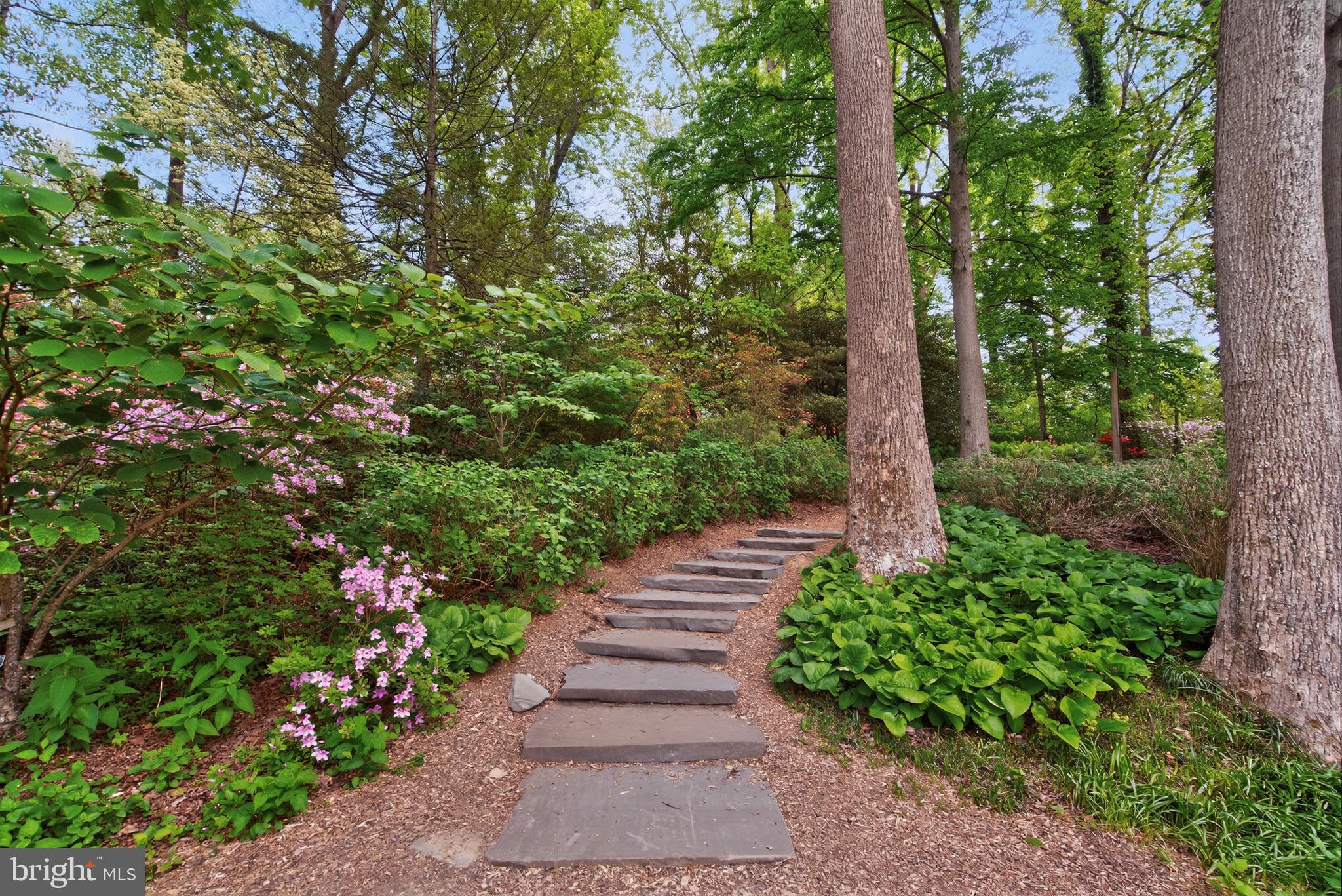 713 BRANDON GREEN DRIVE