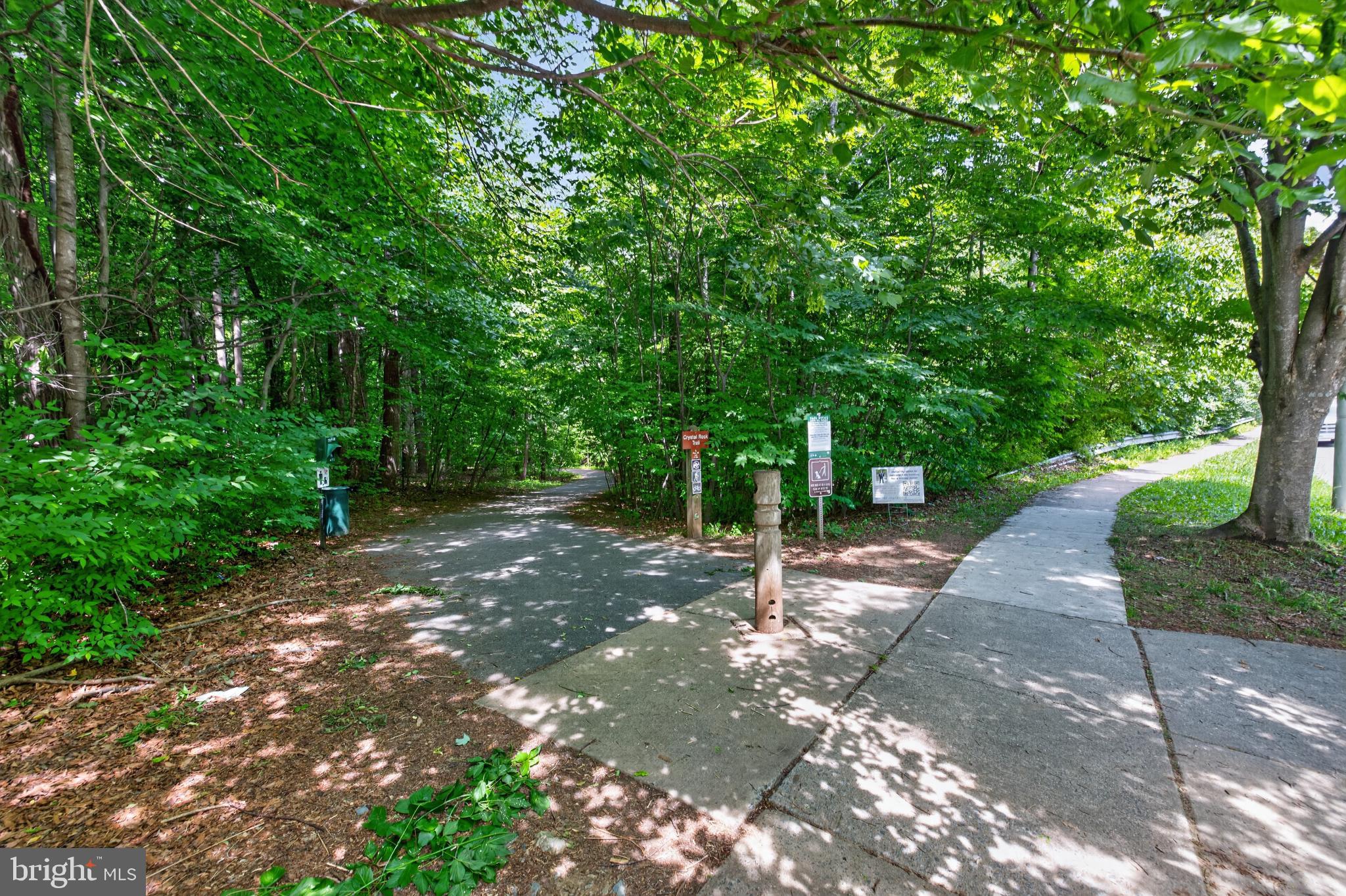 13026 SHAMROCK GLEN DRIVE