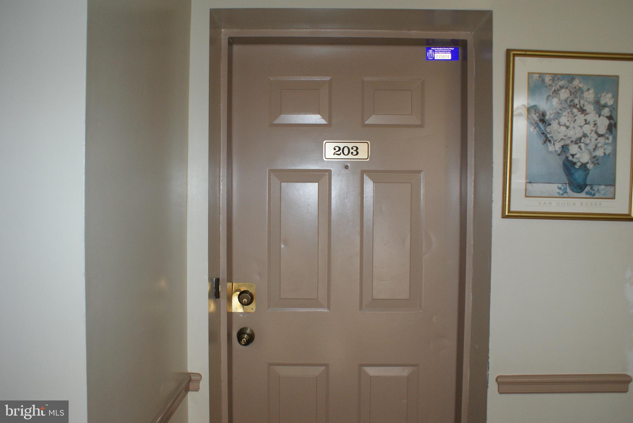 9716 LAKE POINTE COURT 203