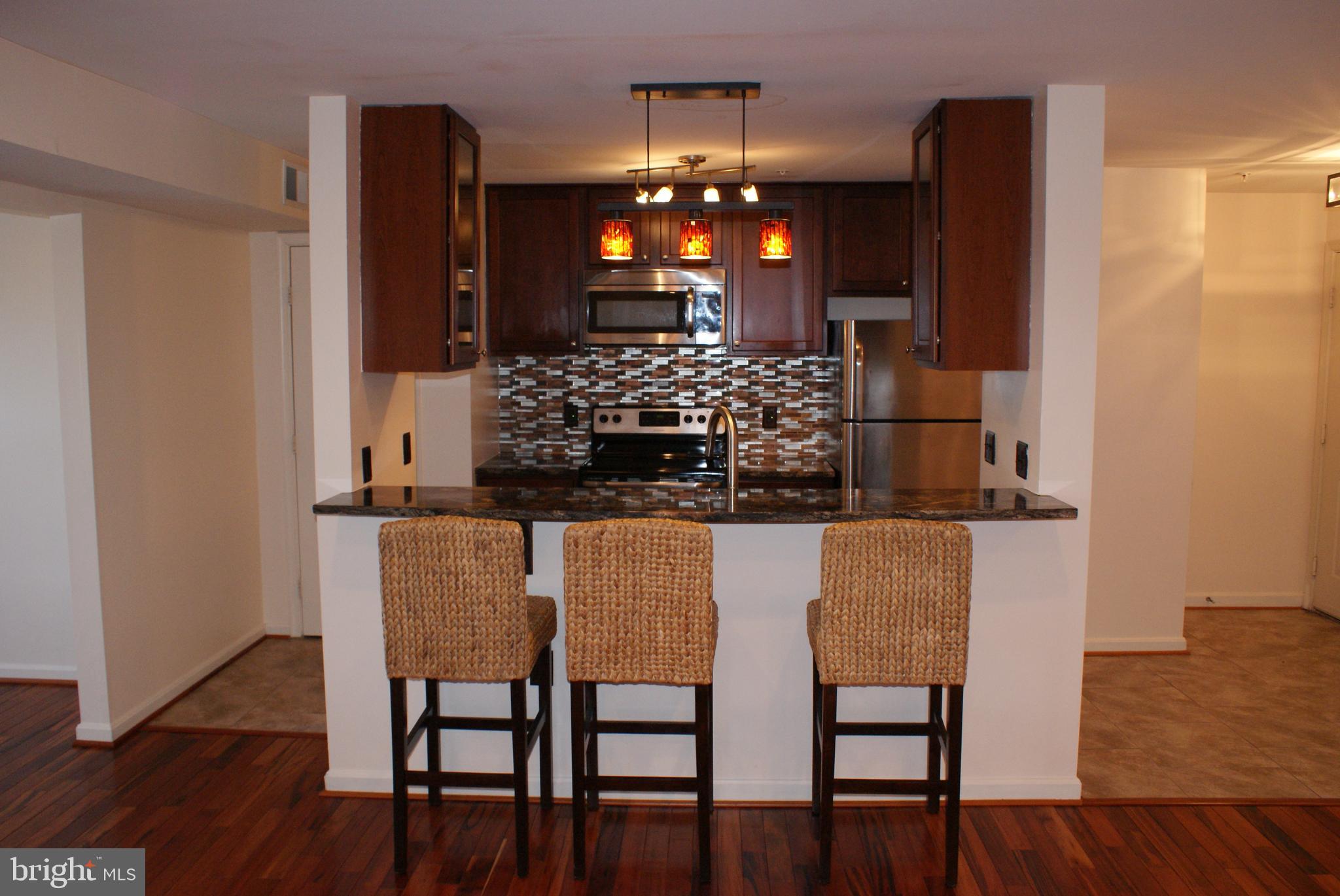 9716 LAKE POINTE COURT 203