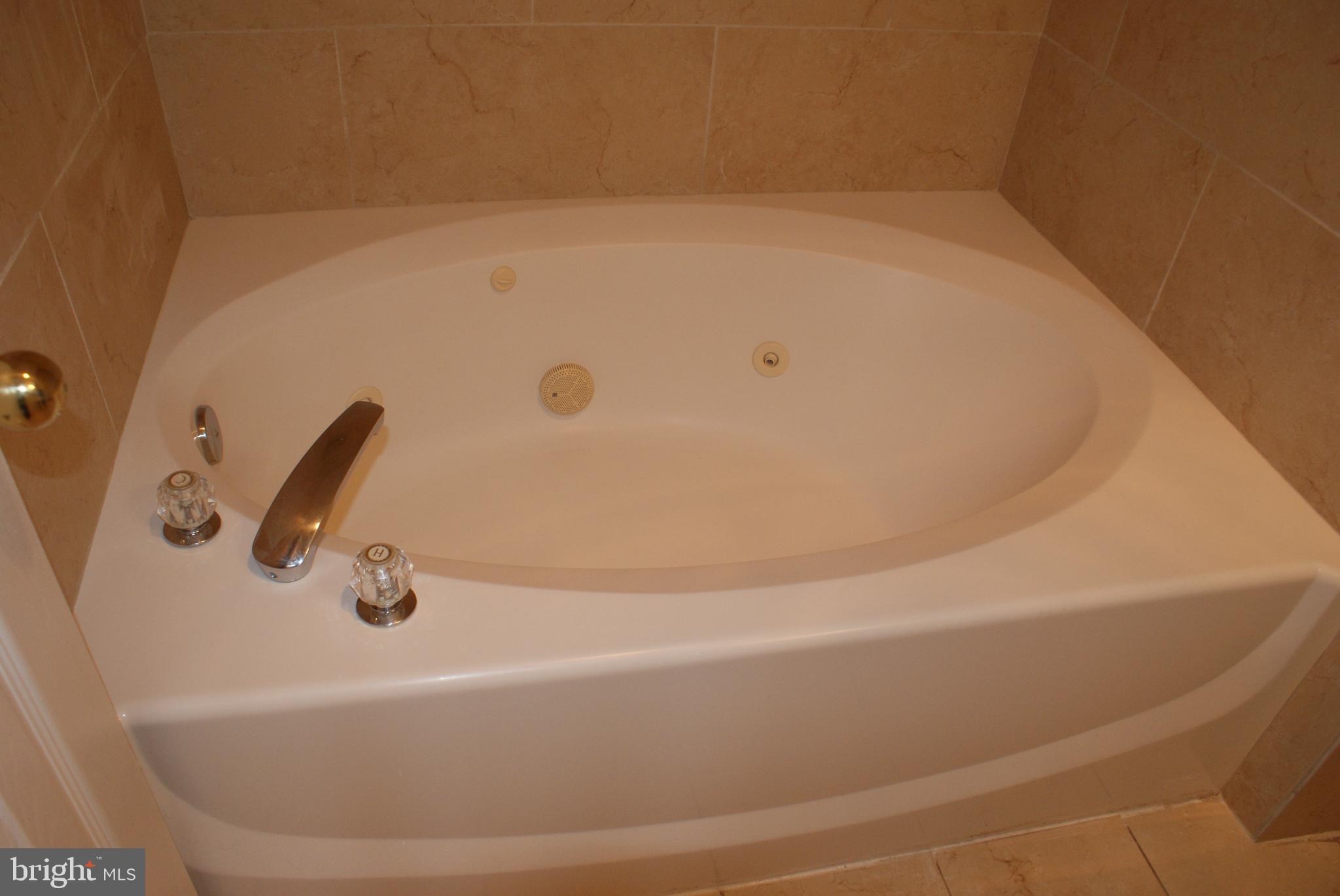 9716 LAKE POINTE COURT 203