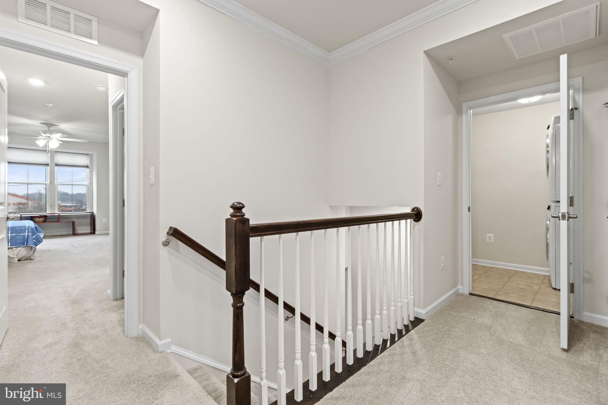 3204 TRIBUNE COURT