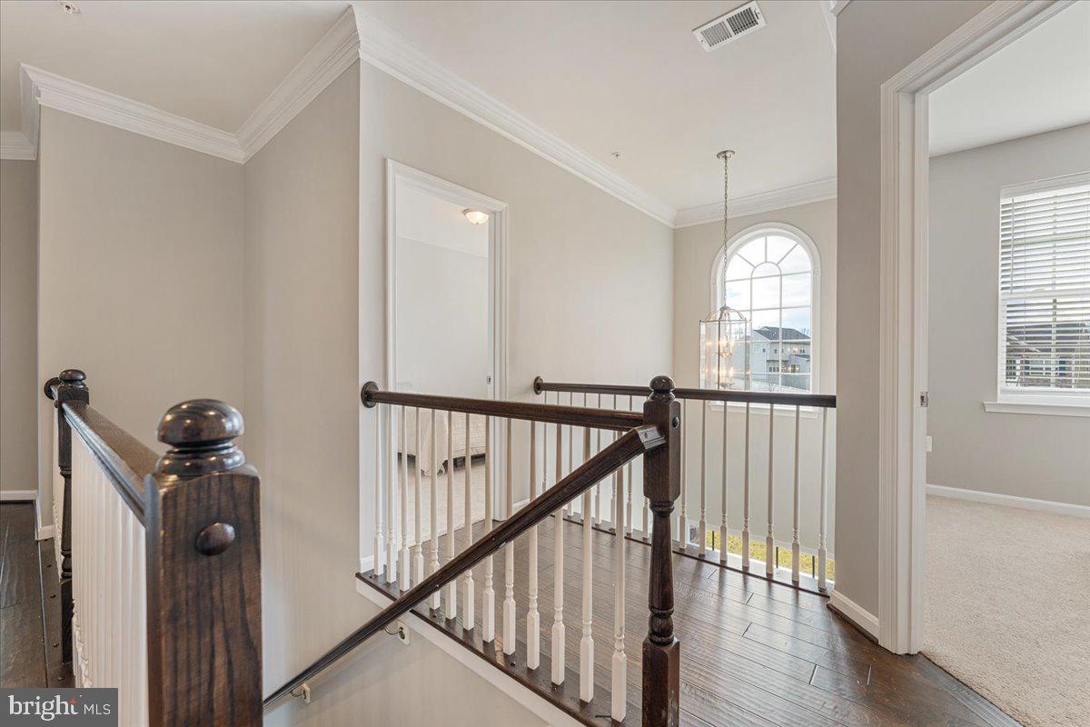 9202 VELVET COURT