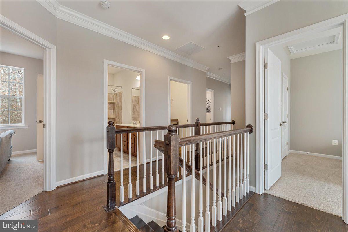 9202 VELVET COURT