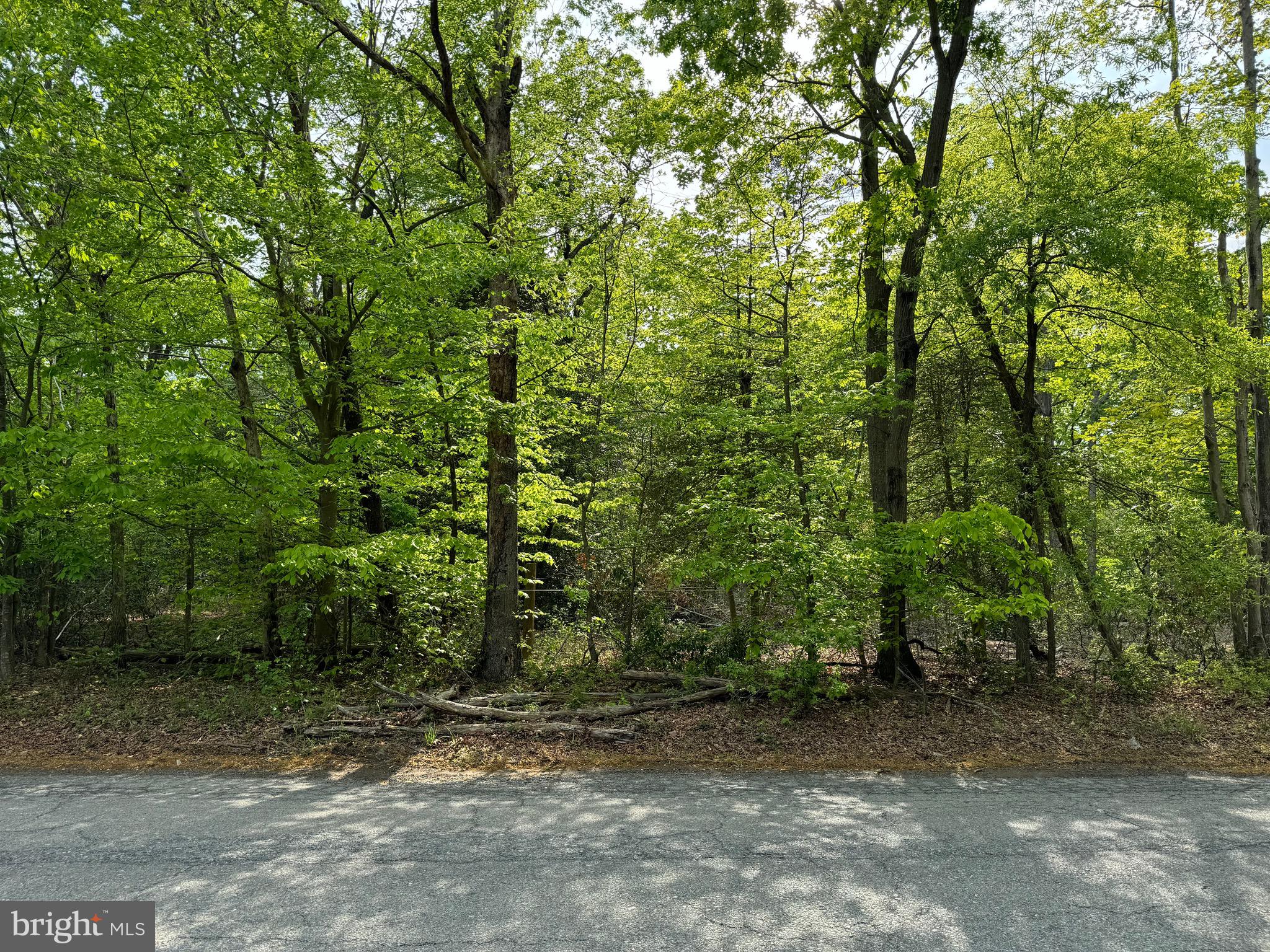 OLD MARSHALL HALL ROAD