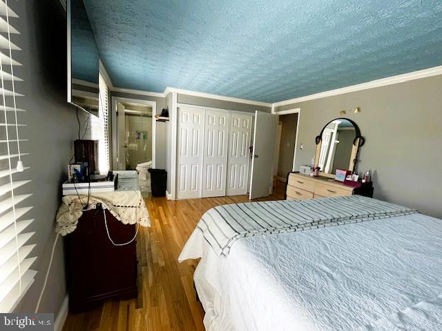 6510 KILLARNEY STREET