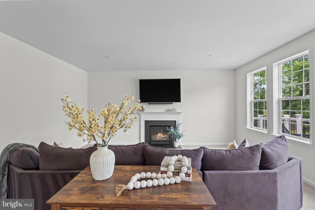 12916 STEAM MILL FARM DRIVE