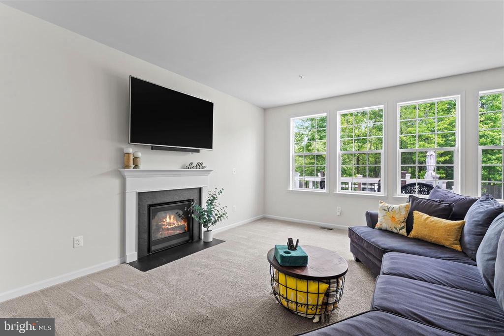 12916 STEAM MILL FARM DRIVE