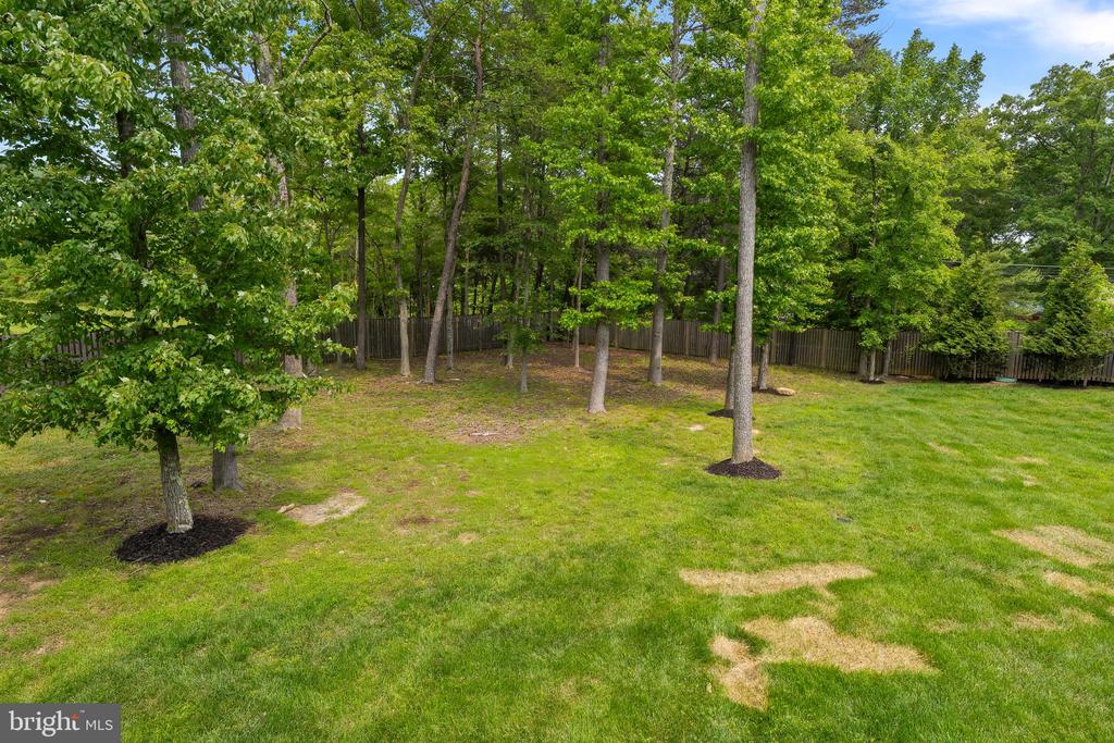 12916 STEAM MILL FARM DRIVE