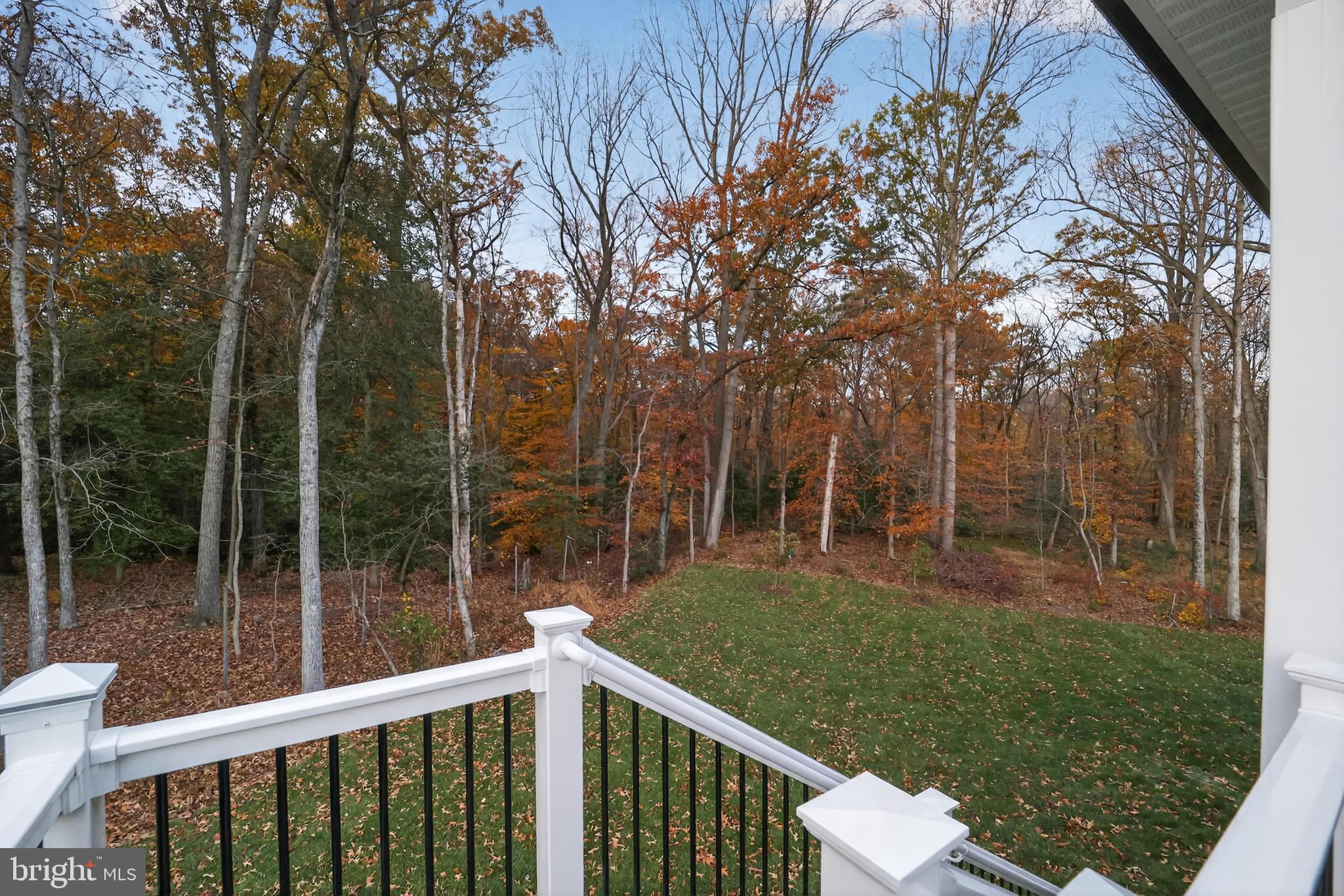 ELIANA COURT - PATUXENT MODEL