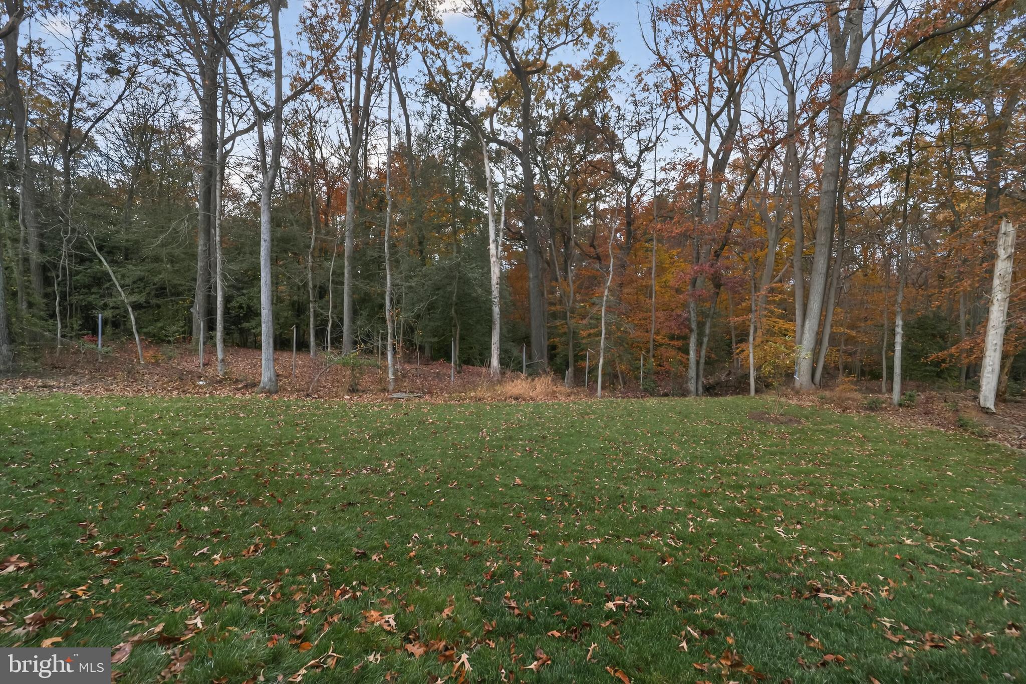 ELIANA COURT - PATUXENT MODEL