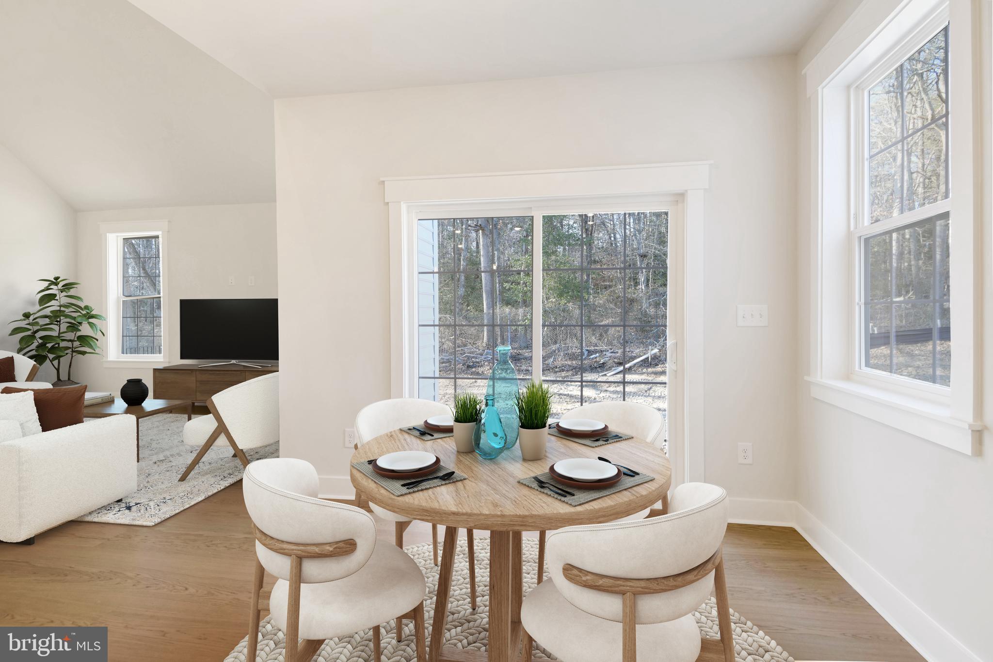 ELIANA COURT - CHESAPEAKE MODEL