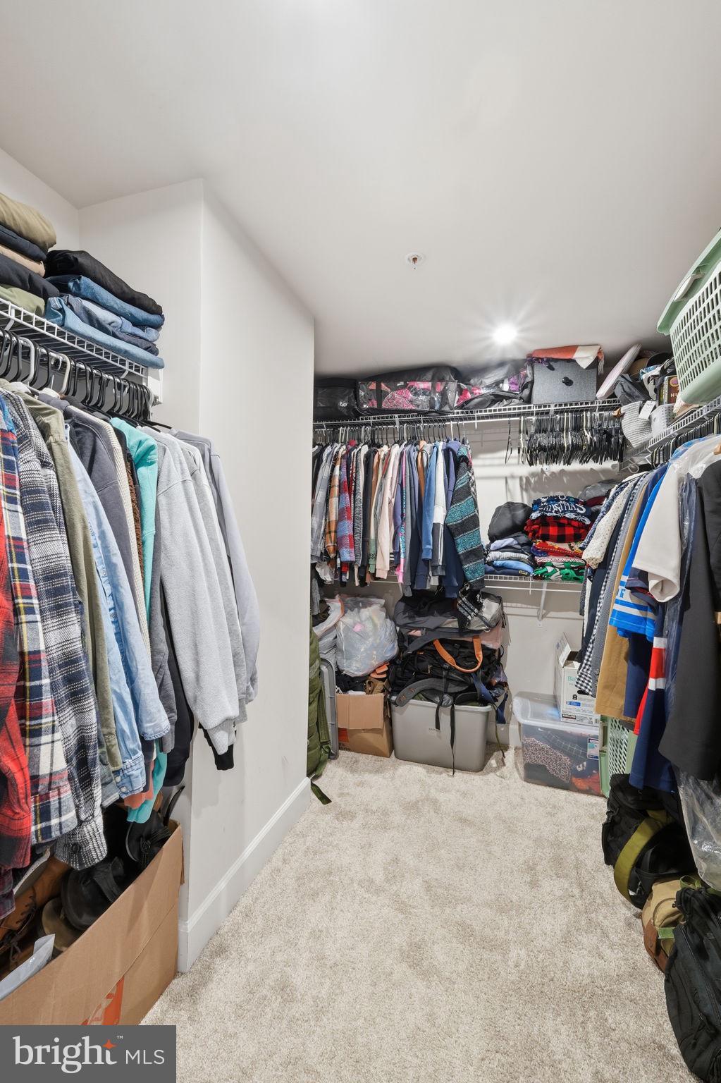 3537 STELLA BLUE DRIVE