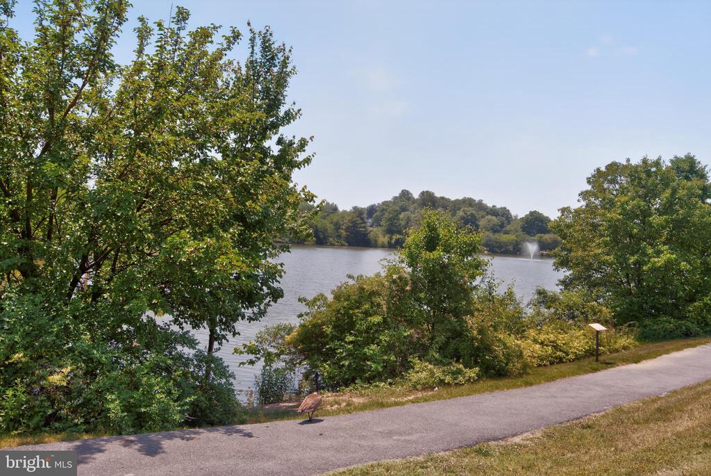 7817 AYLESFORD LANE
