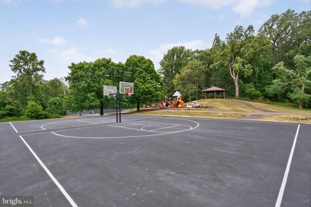 11705 HORSE STABLE COURT