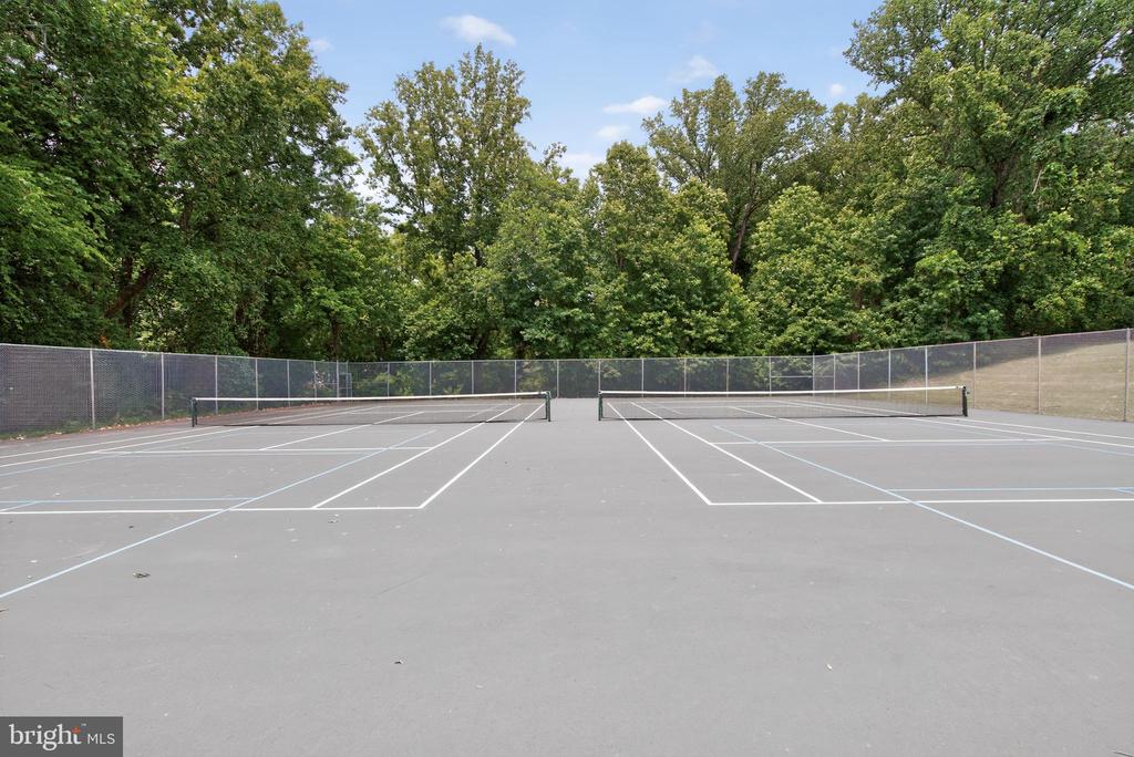 11705 HORSE STABLE COURT