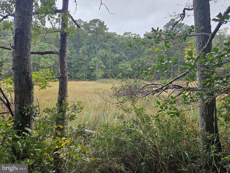 Lot 8 Section C SPRING LAKE DR DRIVE