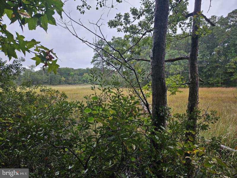 Lot 8 Section C SPRING LAKE DR DRIVE