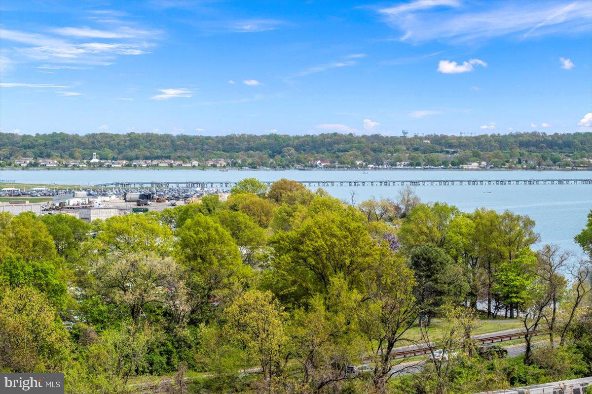 3600 S GLEBE ROAD 919W