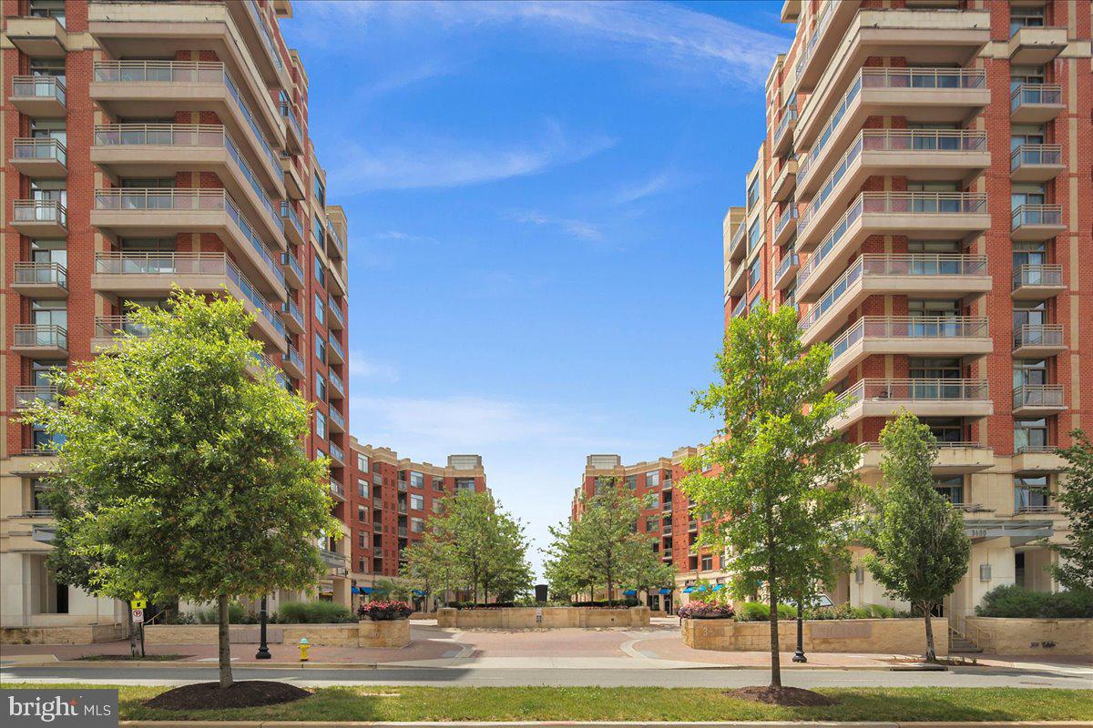 3600 S GLEBE ROAD 919W