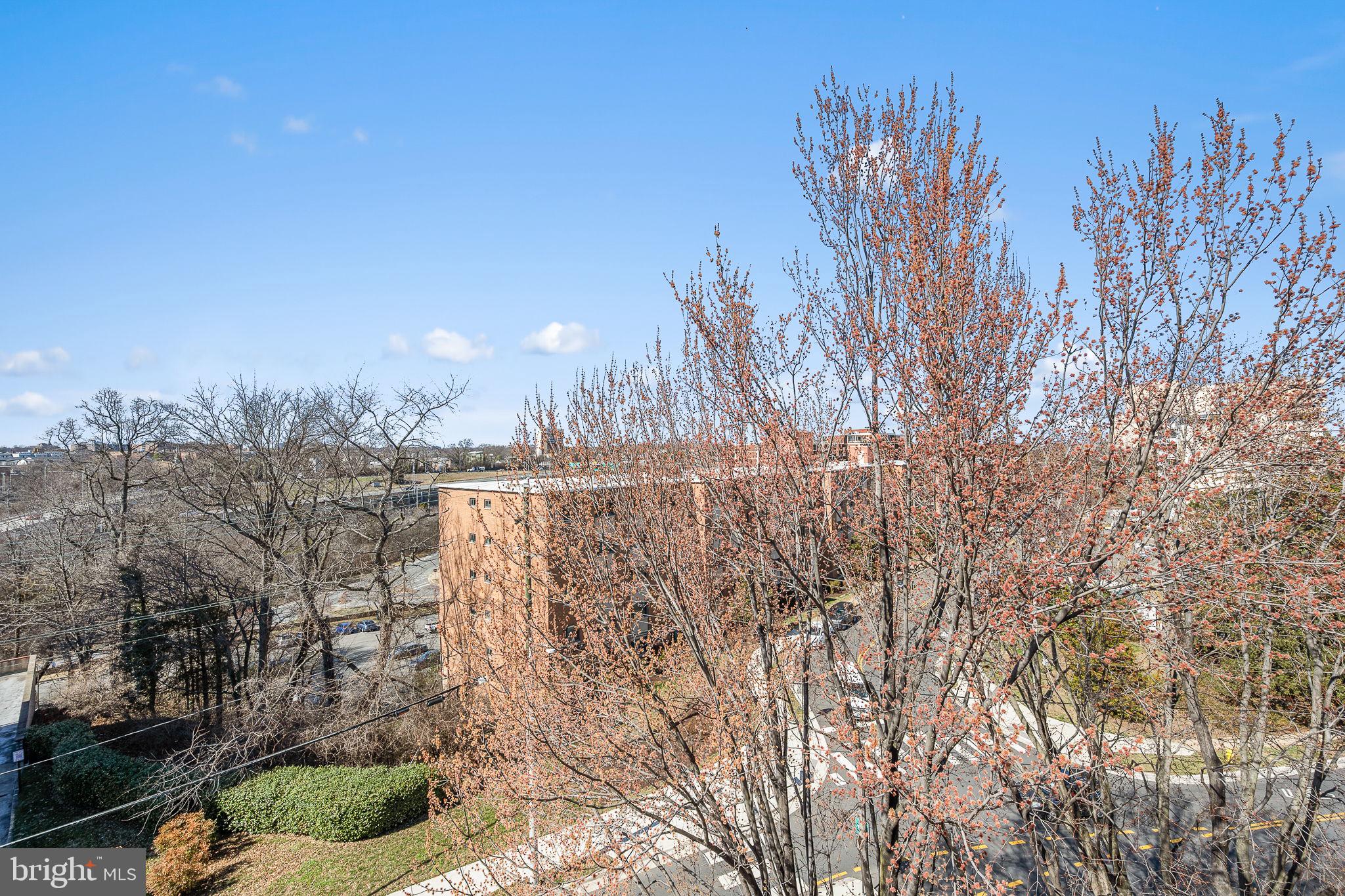 1515 S ARLINGTON RIDGE ROAD 703