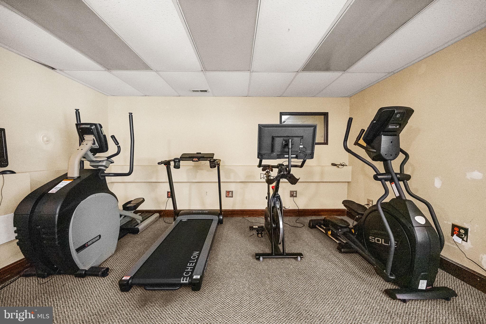 1515 S ARLINGTON RIDGE ROAD 703