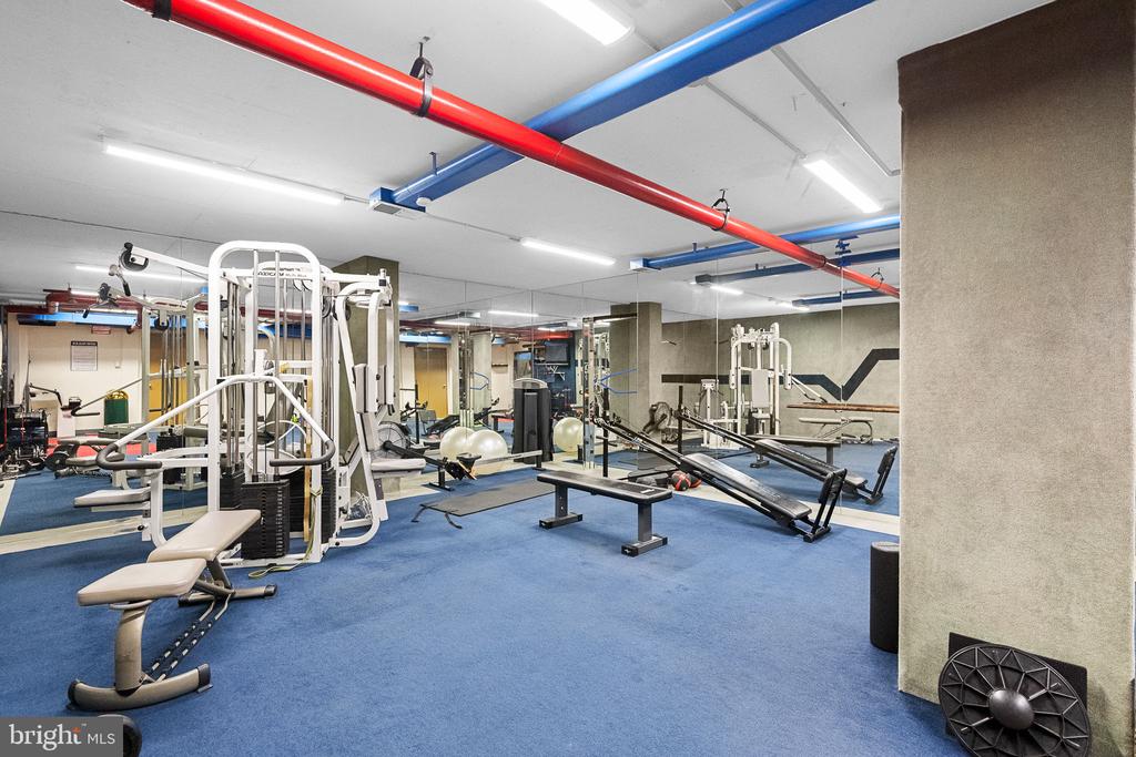 1515 S ARLINGTON RIDGE ROAD 703