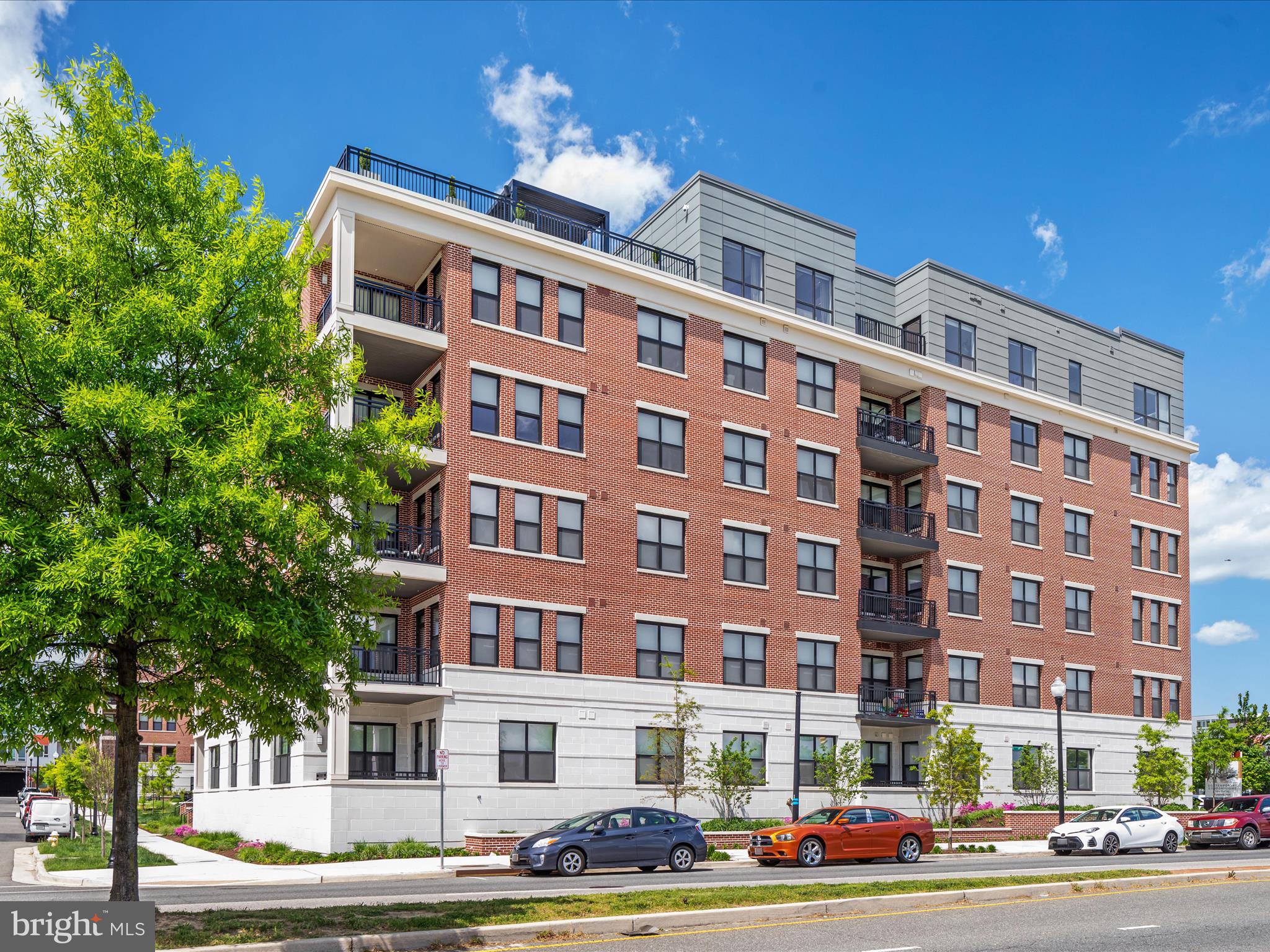 737 SWANN AVENUE 401