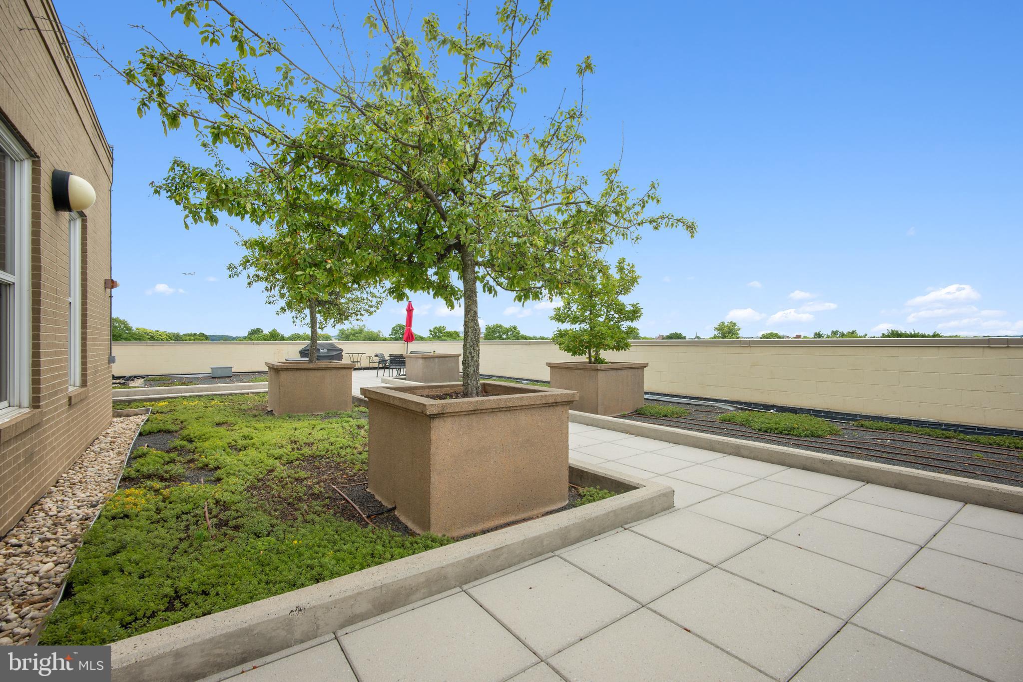 1111 ORONOCO STREET 525