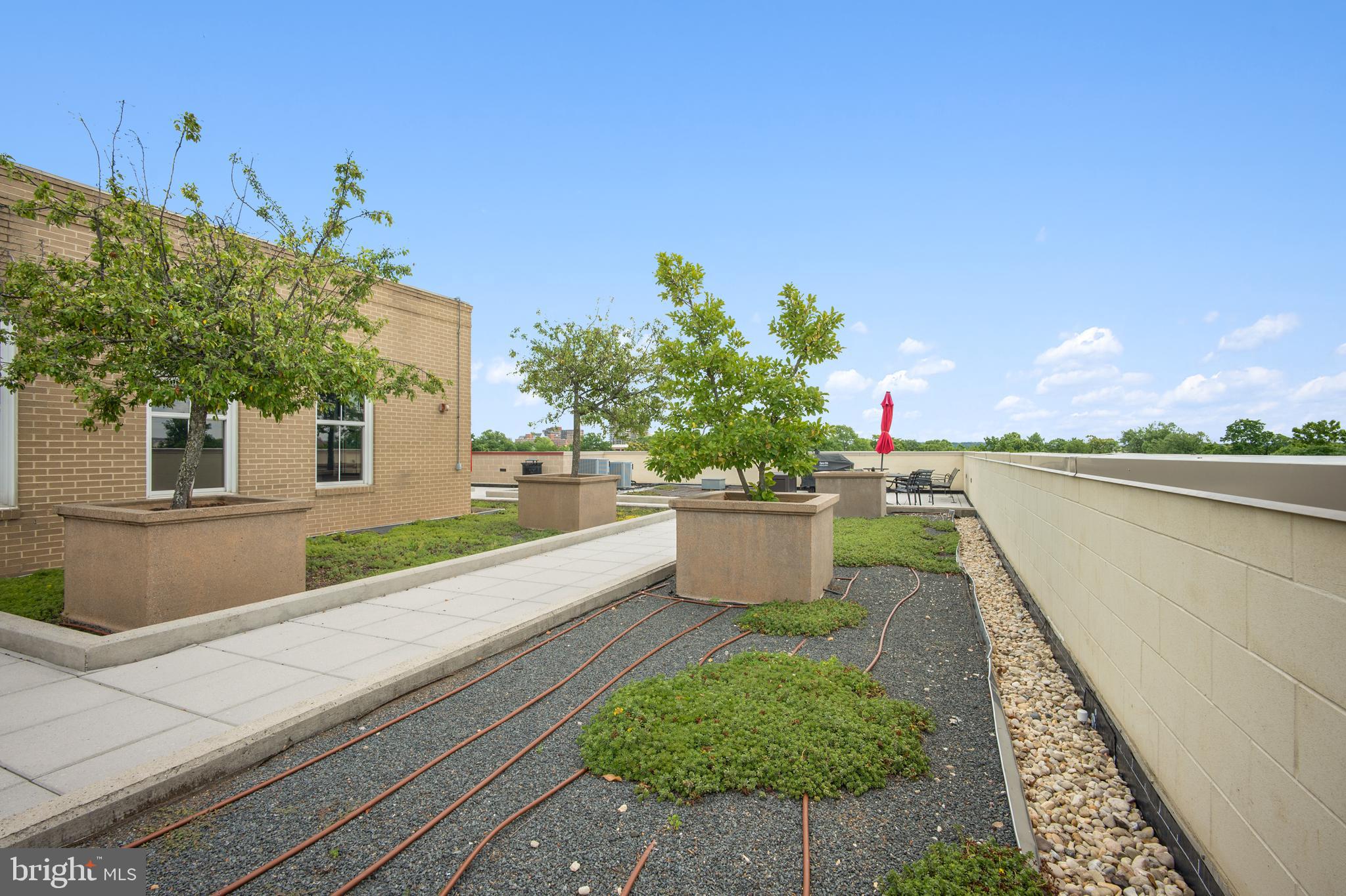 1111 ORONOCO STREET 525