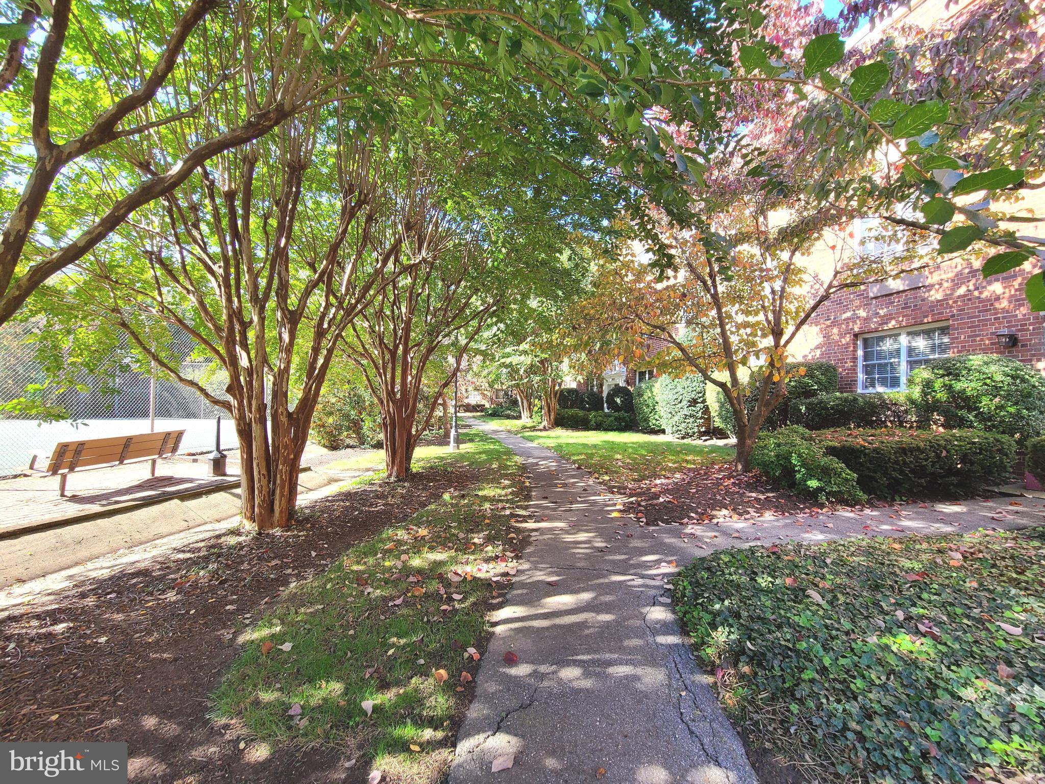 1708 W ABINGDON DRIVE 302