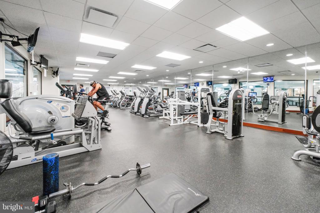 205 YOAKUM PARKWAY 209